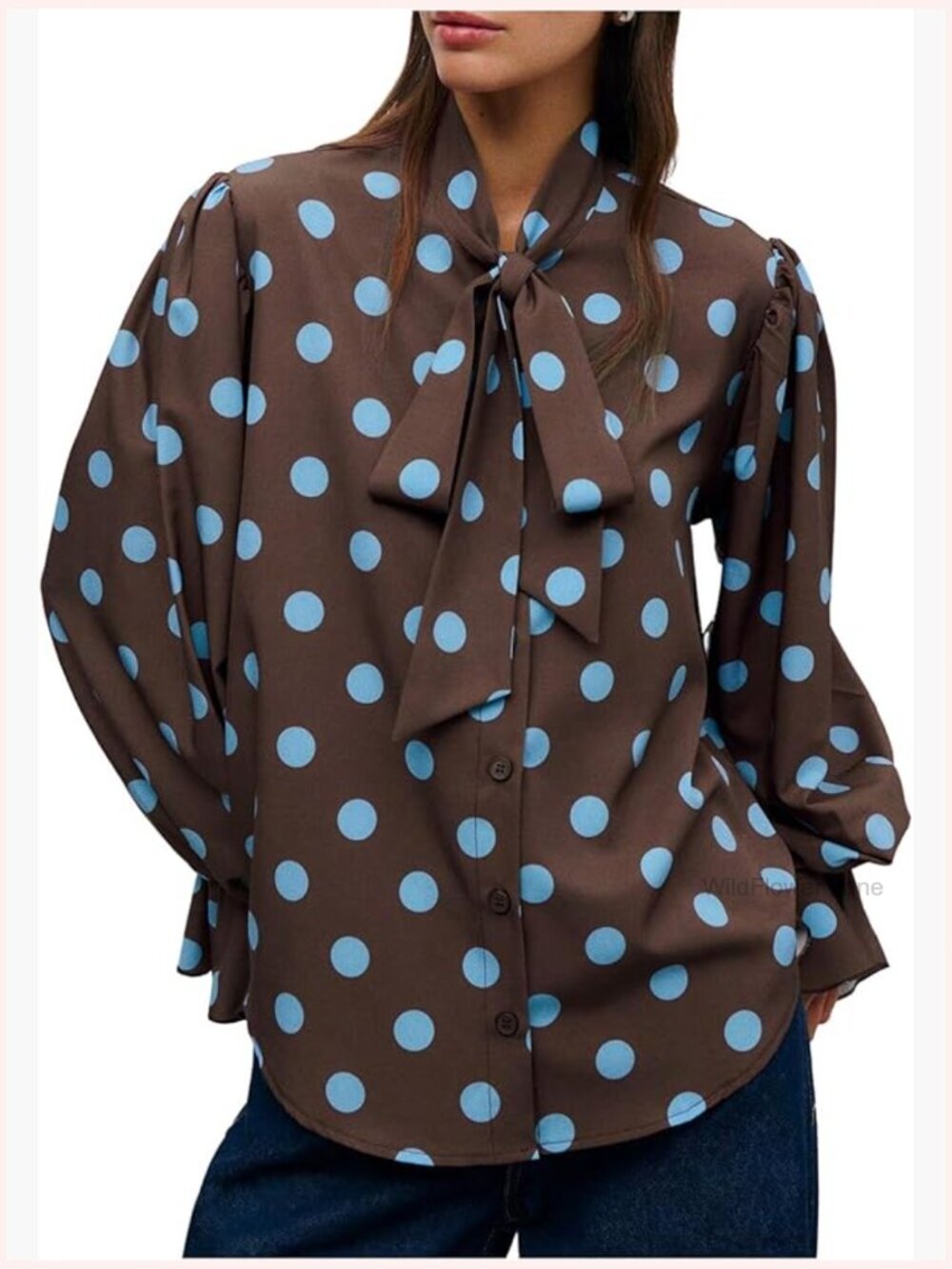 Polka Dot Bishop Long Sleeve Blouse Tie Front Work Shirt